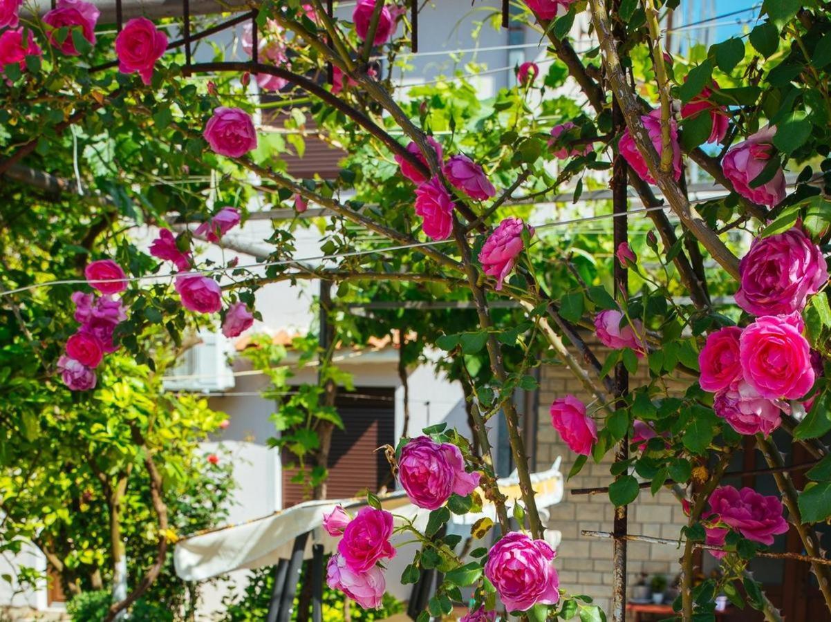 Azure Adriatic Apartment โกตอร์ ภายนอก รูปภาพ